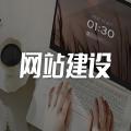 1：门户论坛建设